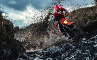 詹姆斯数据库？詹姆斯数据2021？